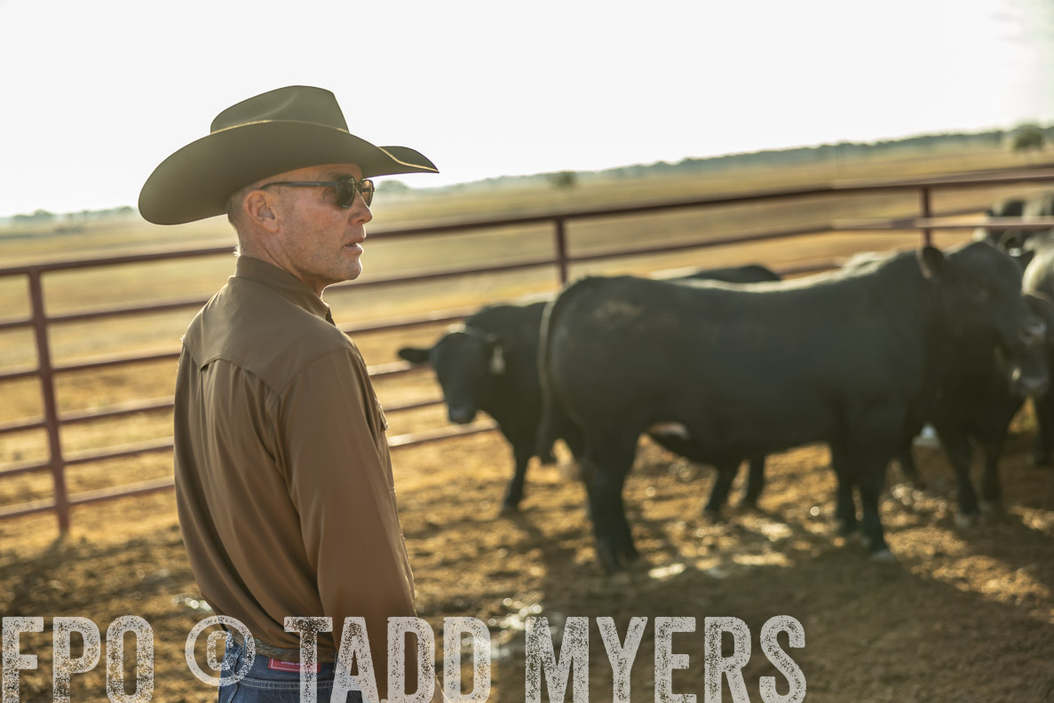 TMyers_FallBullSale_CameronTX_Oct_2024-512631