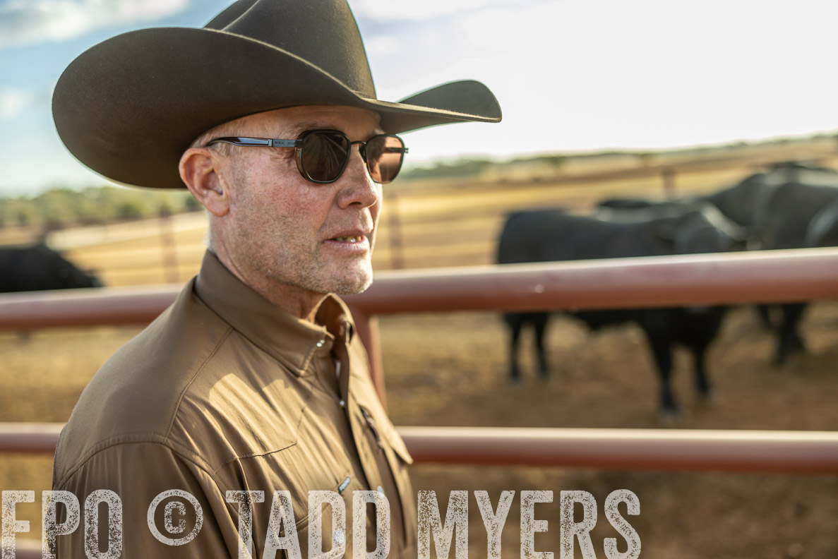 TMyers_FallBullSale_CameronTX_Oct_2024-512655