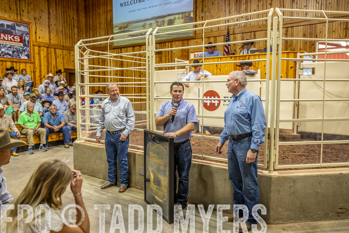 TMyers_FallBullSale_CameronTX_Oct_2024-512686