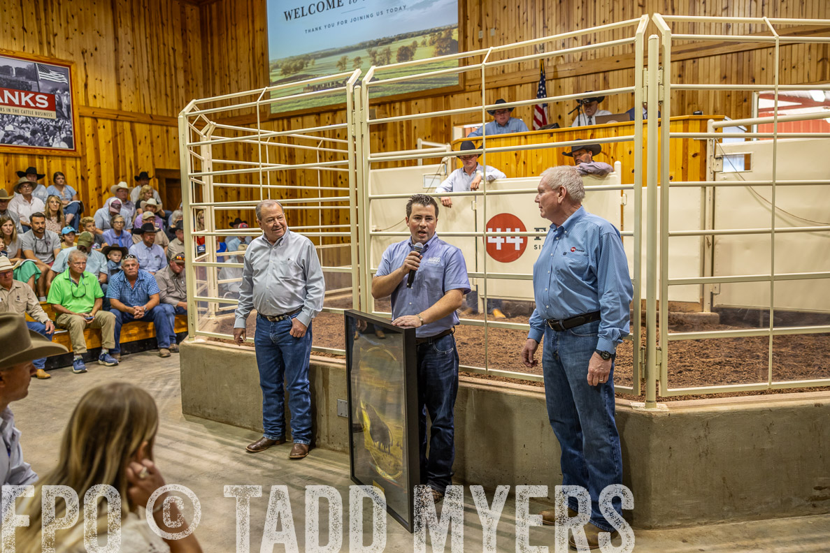 TMyers_FallBullSale_CameronTX_Oct_2024-512689