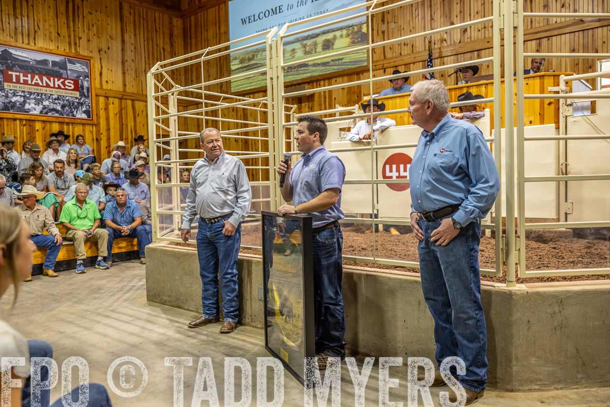 TMyers_FallBullSale_CameronTX_Oct_2024-512698