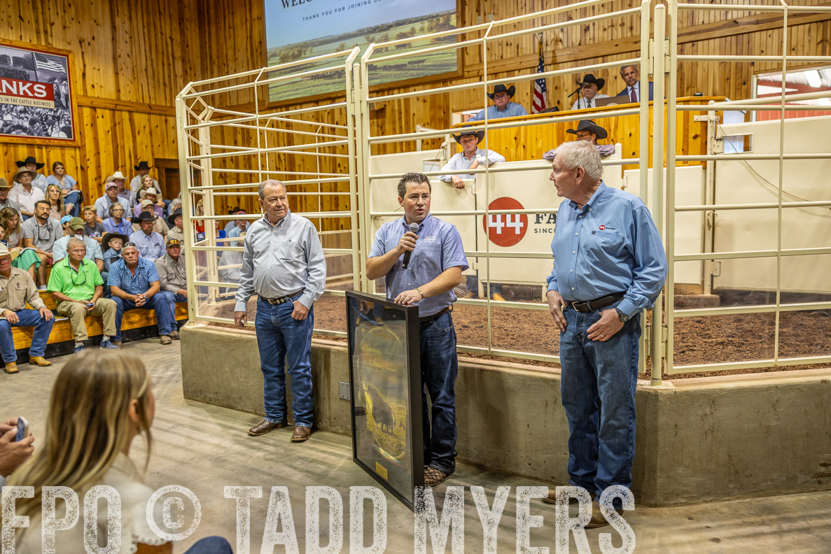 TMyers_FallBullSale_CameronTX_Oct_2024-512707