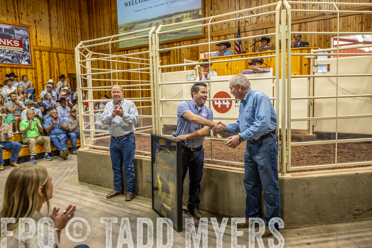 TMyers_FallBullSale_CameronTX_Oct_2024-512725