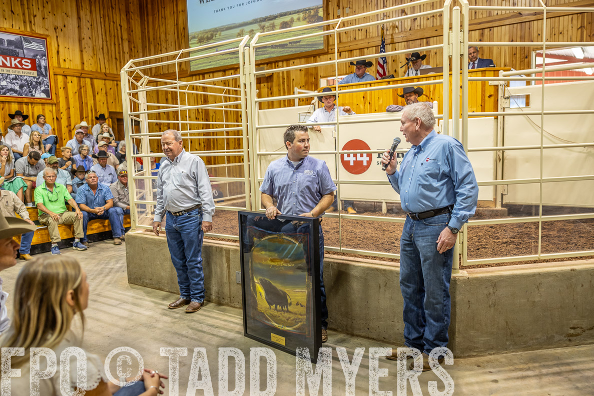 TMyers_FallBullSale_CameronTX_Oct_2024-512745