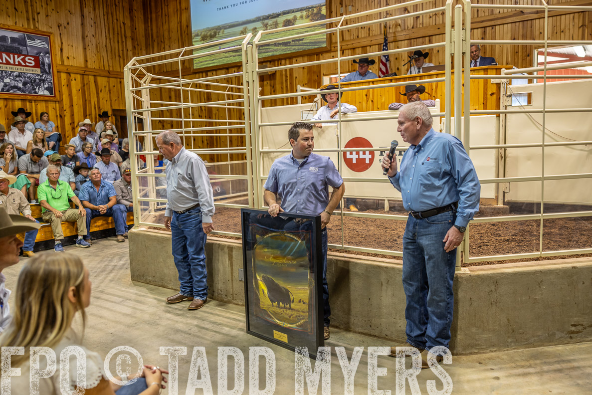 TMyers_FallBullSale_CameronTX_Oct_2024-512747