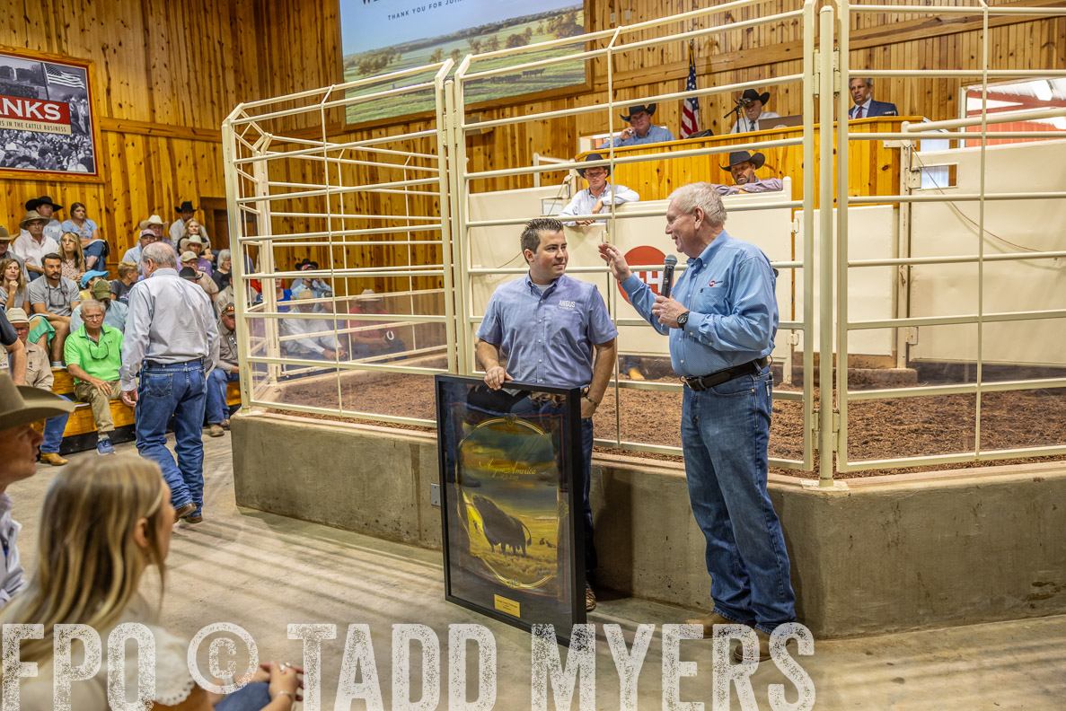 TMyers_FallBullSale_CameronTX_Oct_2024-512753