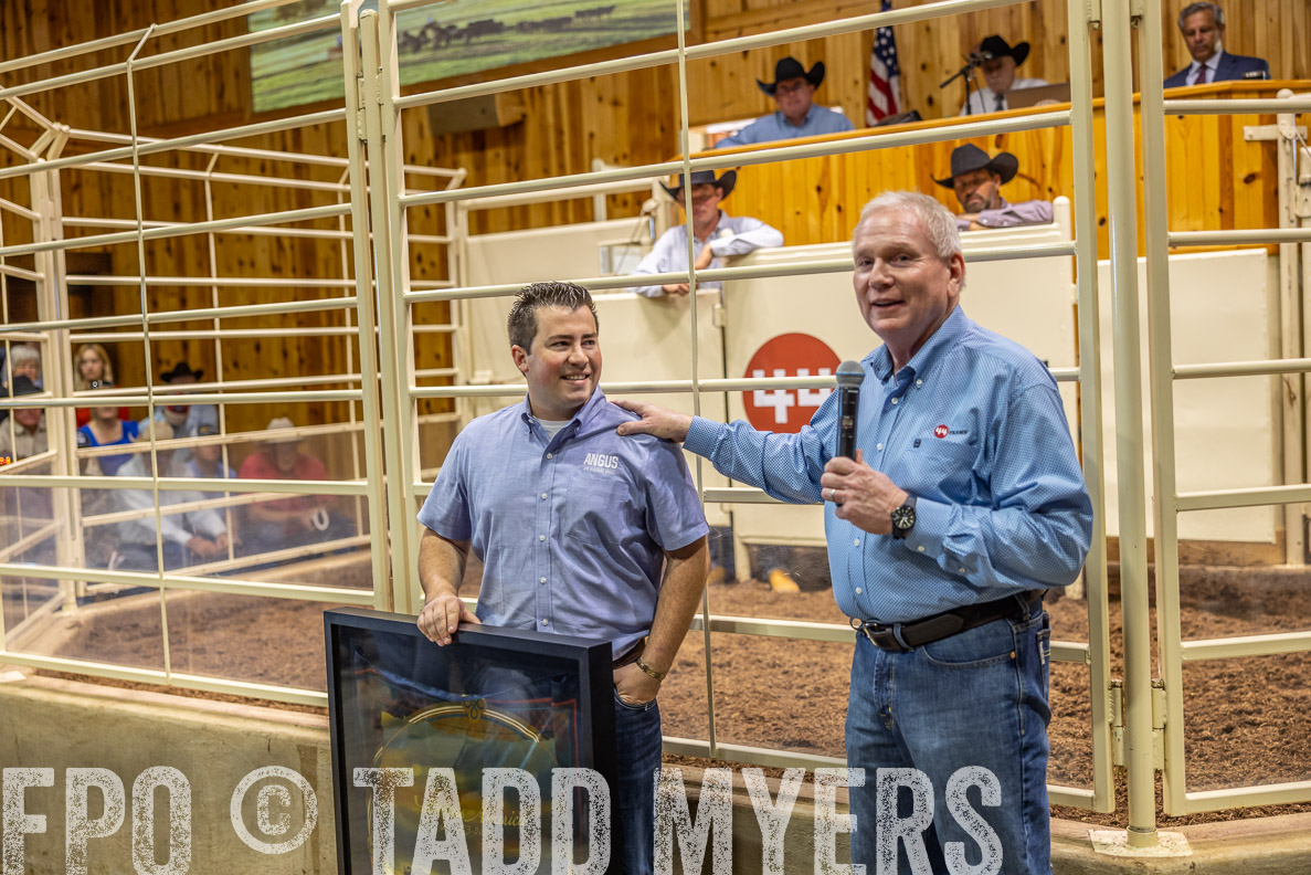 TMyers_FallBullSale_CameronTX_Oct_2024-512754