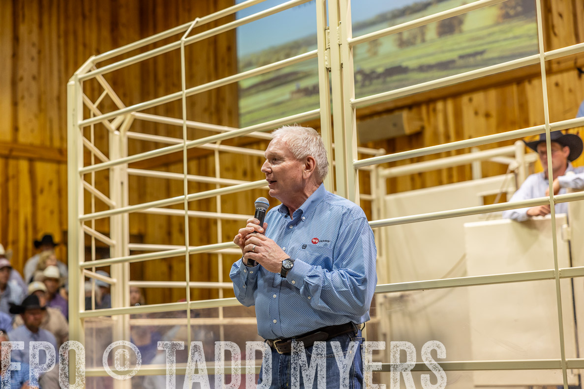 TMyers_FallBullSale_CameronTX_Oct_2024-512803