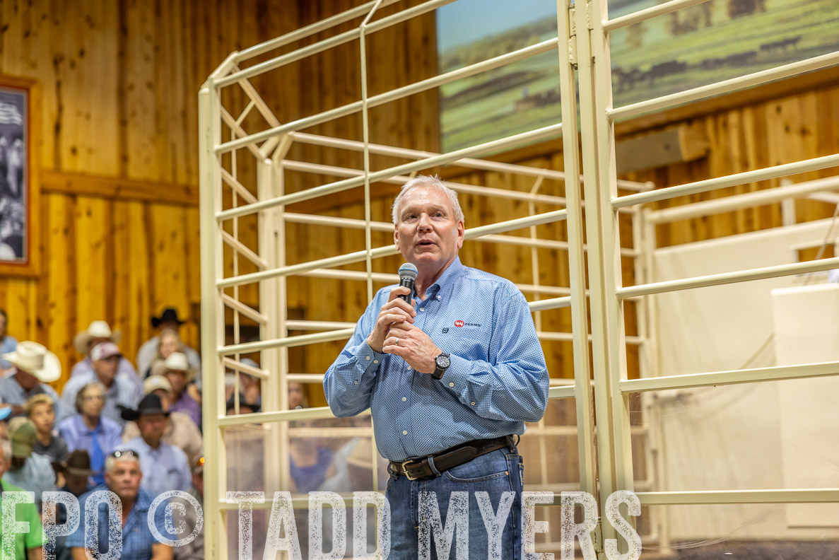 TMyers_FallBullSale_CameronTX_Oct_2024-512806