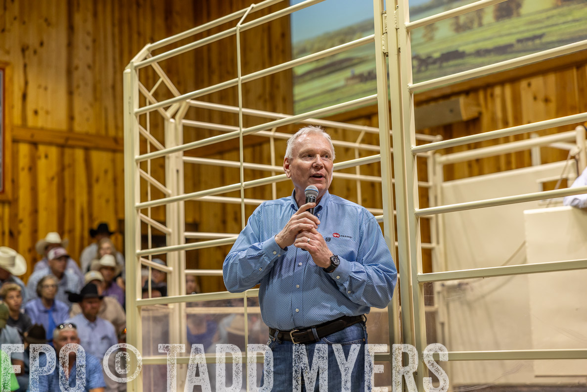 TMyers_FallBullSale_CameronTX_Oct_2024-512808