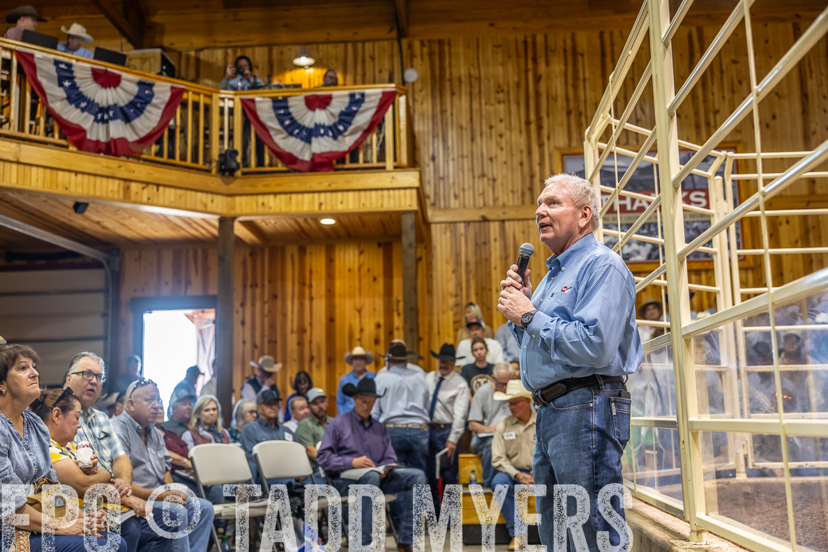 TMyers_FallBullSale_CameronTX_Oct_2024-512829