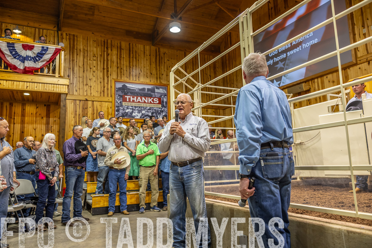 TMyers_FallBullSale_CameronTX_Oct_2024-512910