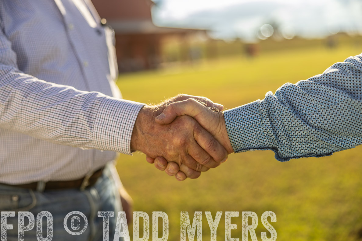 TMyers_FallBullSale_CameronTX_Oct_2024-512950