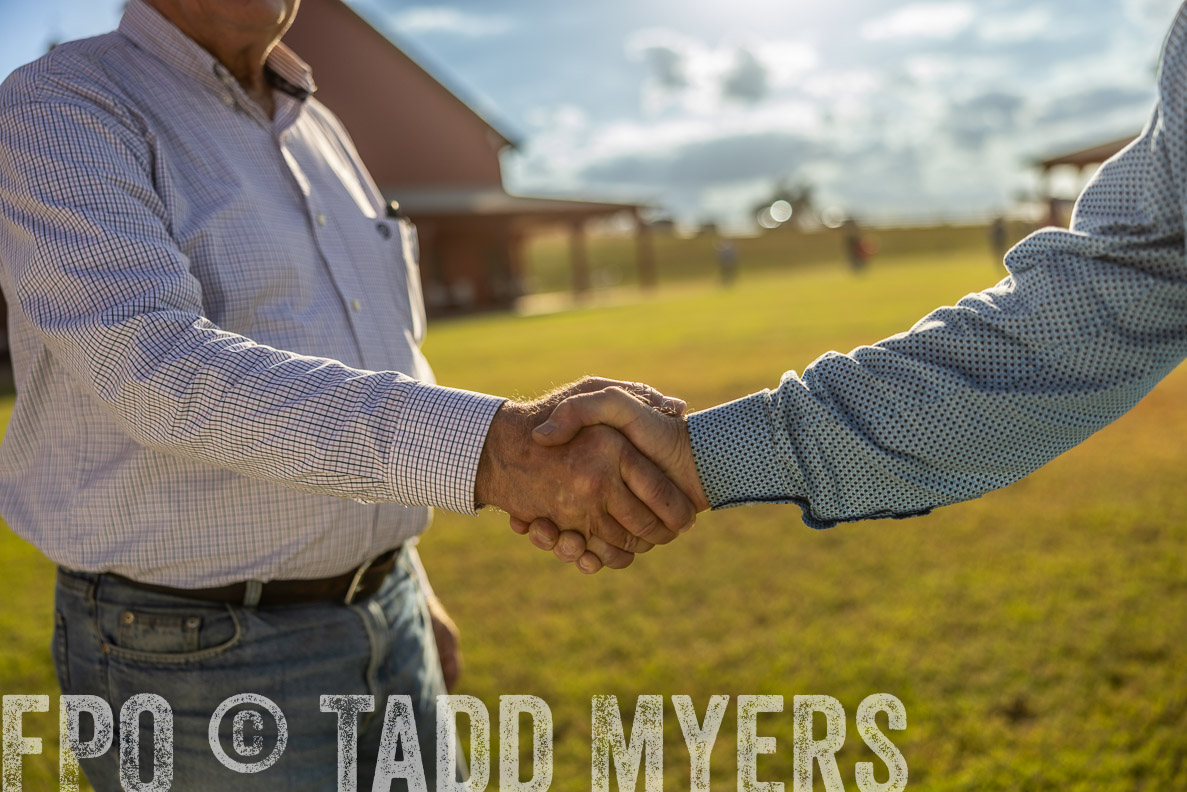 TMyers_FallBullSale_CameronTX_Oct_2024-512953
