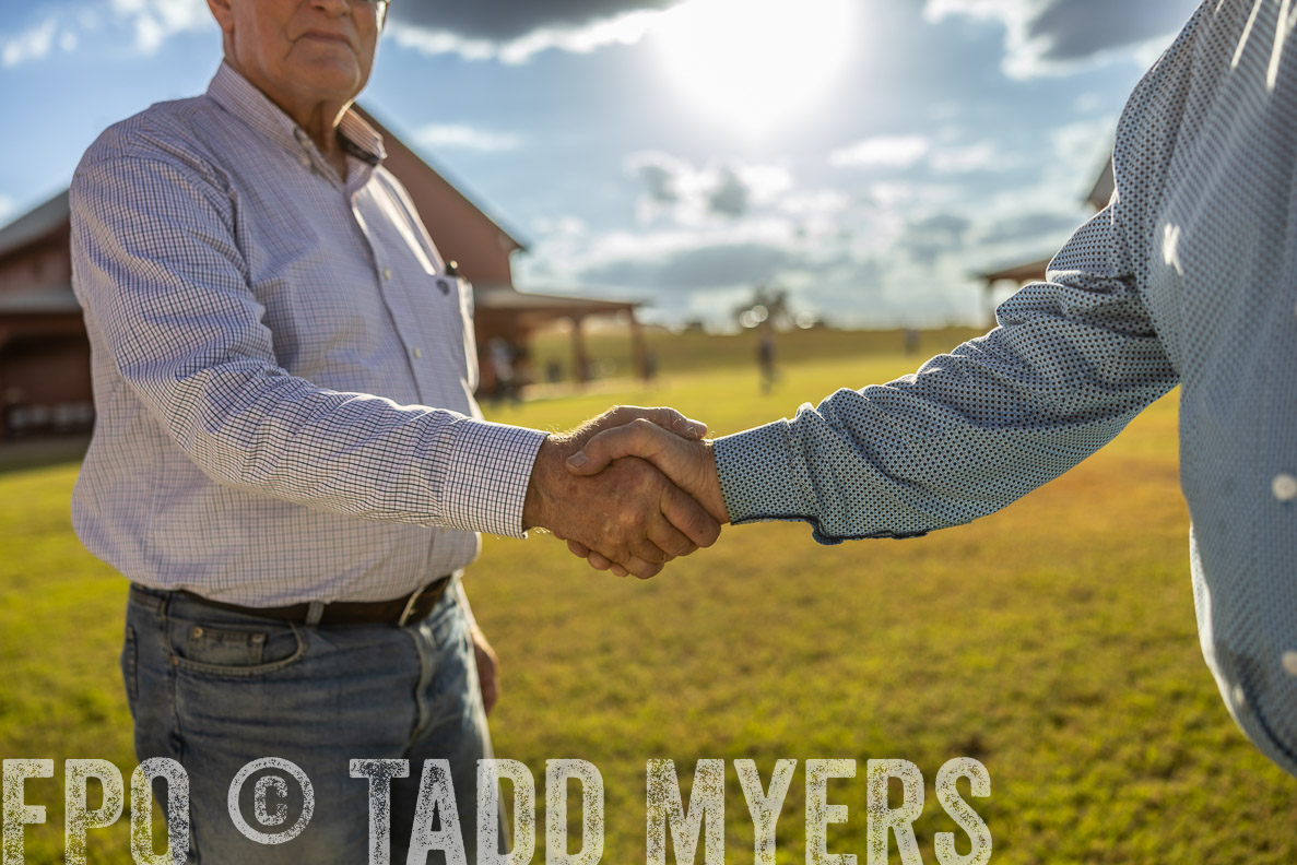 TMyers_FallBullSale_CameronTX_Oct_2024-512969