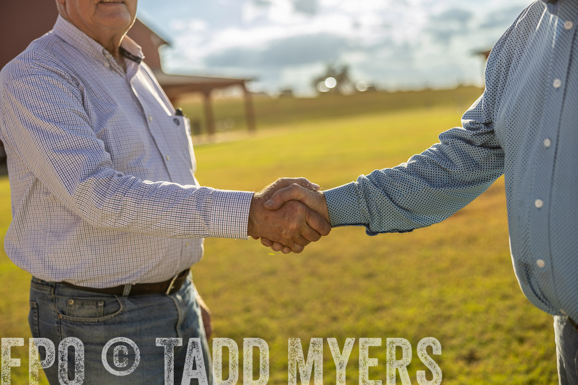 TMyers_FallBullSale_CameronTX_Oct_2024-512977