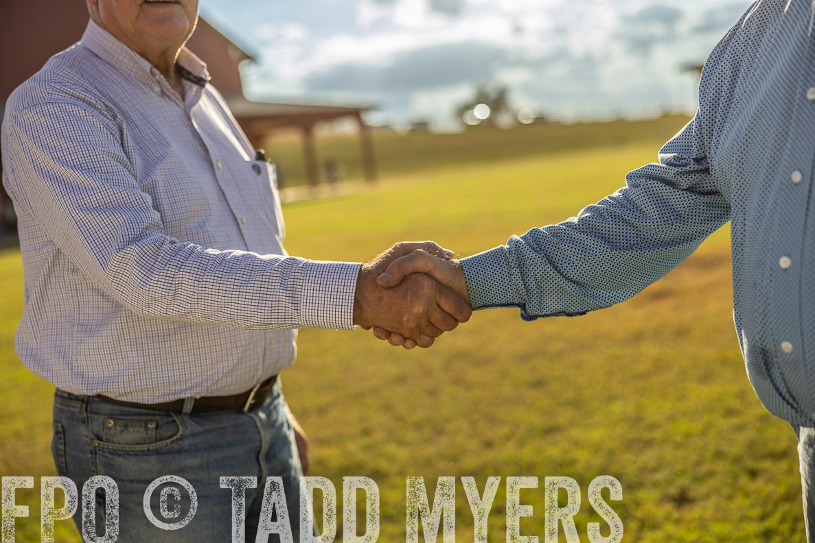 TMyers_FallBullSale_CameronTX_Oct_2024-512980