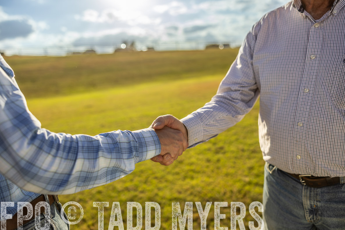 TMyers_FallBullSale_CameronTX_Oct_2024-513037