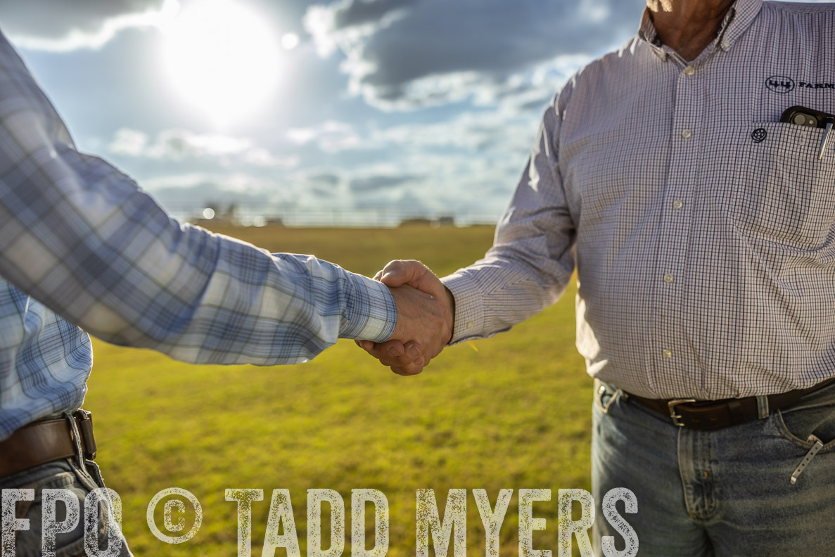 TMyers_FallBullSale_CameronTX_Oct_2024-513050