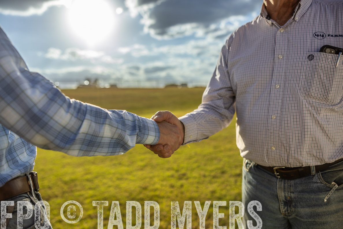 TMyers_FallBullSale_CameronTX_Oct_2024-513053