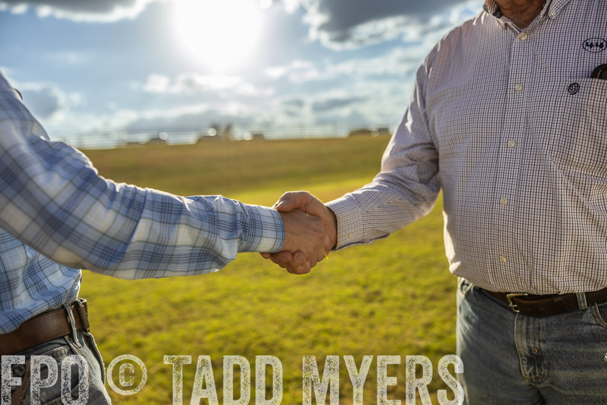 TMyers_FallBullSale_CameronTX_Oct_2024-513056