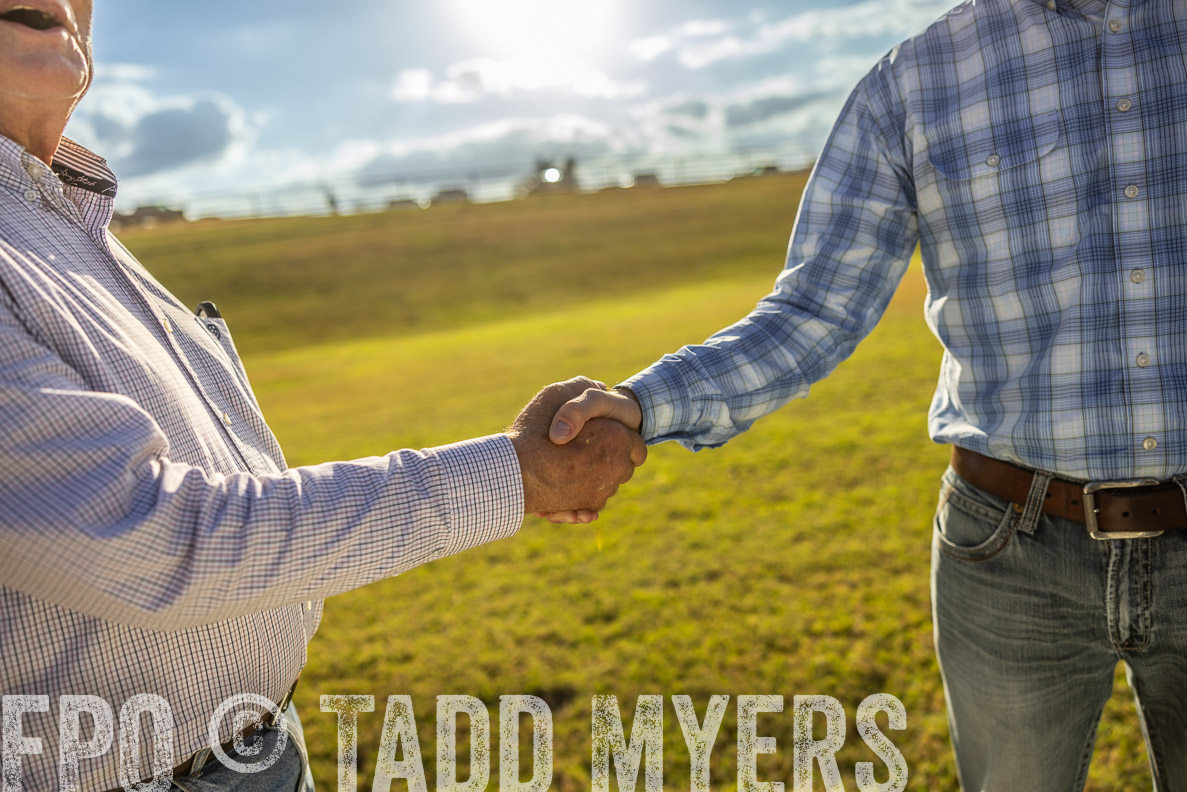 TMyers_FallBullSale_CameronTX_Oct_2024-513092