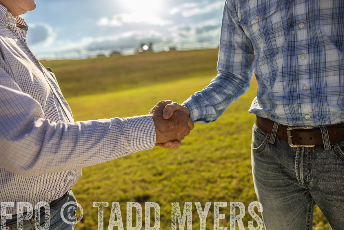 TMyers_FallBullSale_CameronTX_Oct_2024-513113
