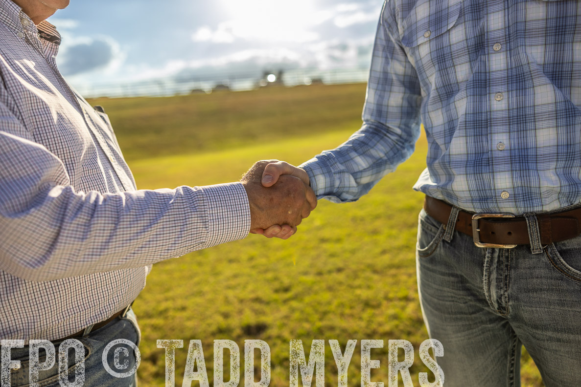 TMyers_FallBullSale_CameronTX_Oct_2024-513116