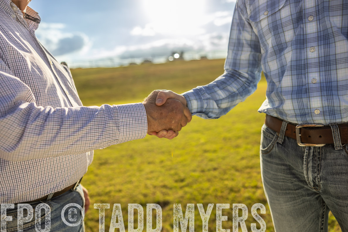 TMyers_FallBullSale_CameronTX_Oct_2024-513120