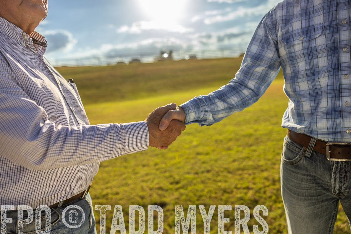 TMyers_FallBullSale_CameronTX_Oct_2024-513147