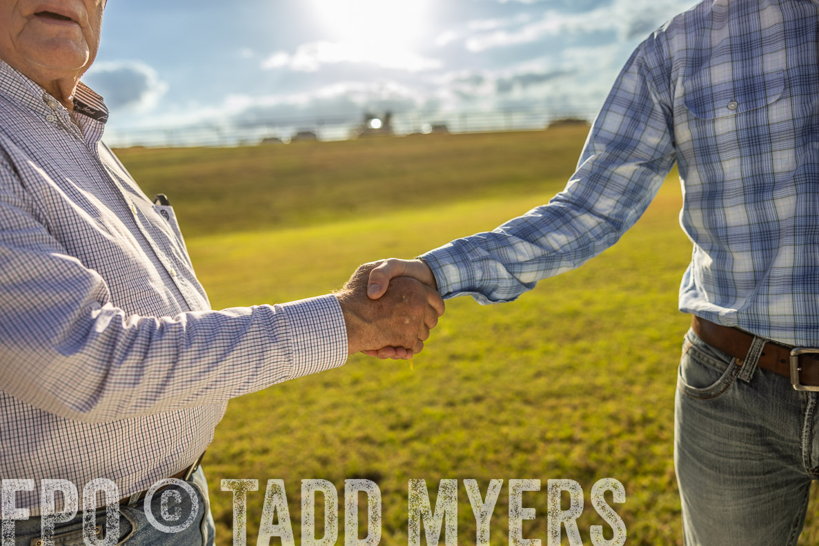 TMyers_FallBullSale_CameronTX_Oct_2024-513154