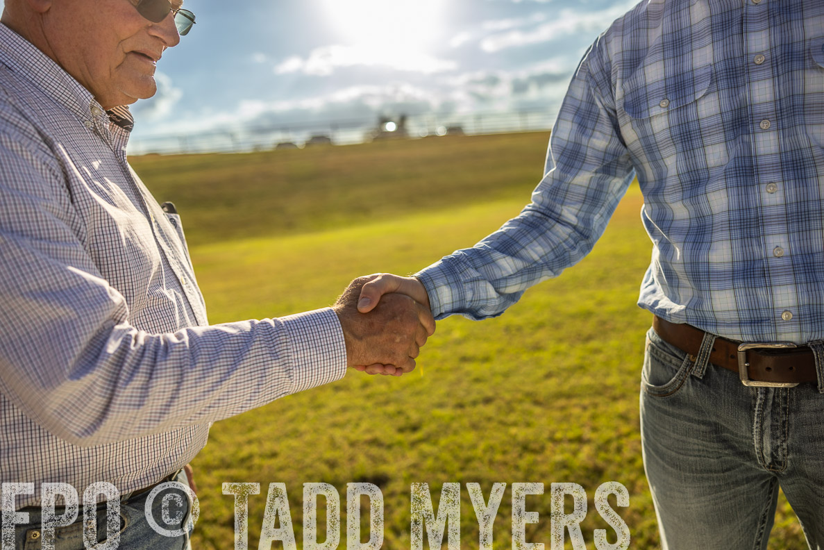 TMyers_FallBullSale_CameronTX_Oct_2024-513158