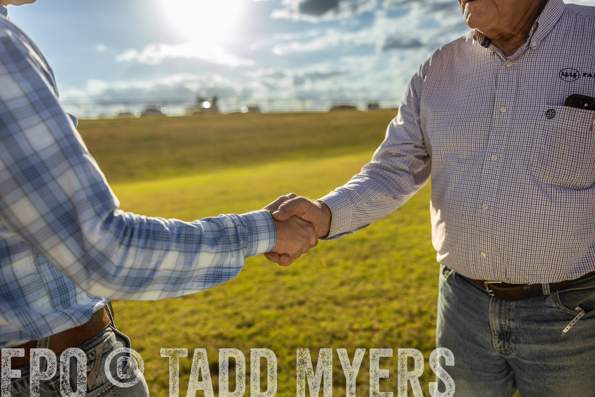 TMyers_FallBullSale_CameronTX_Oct_2024-513162