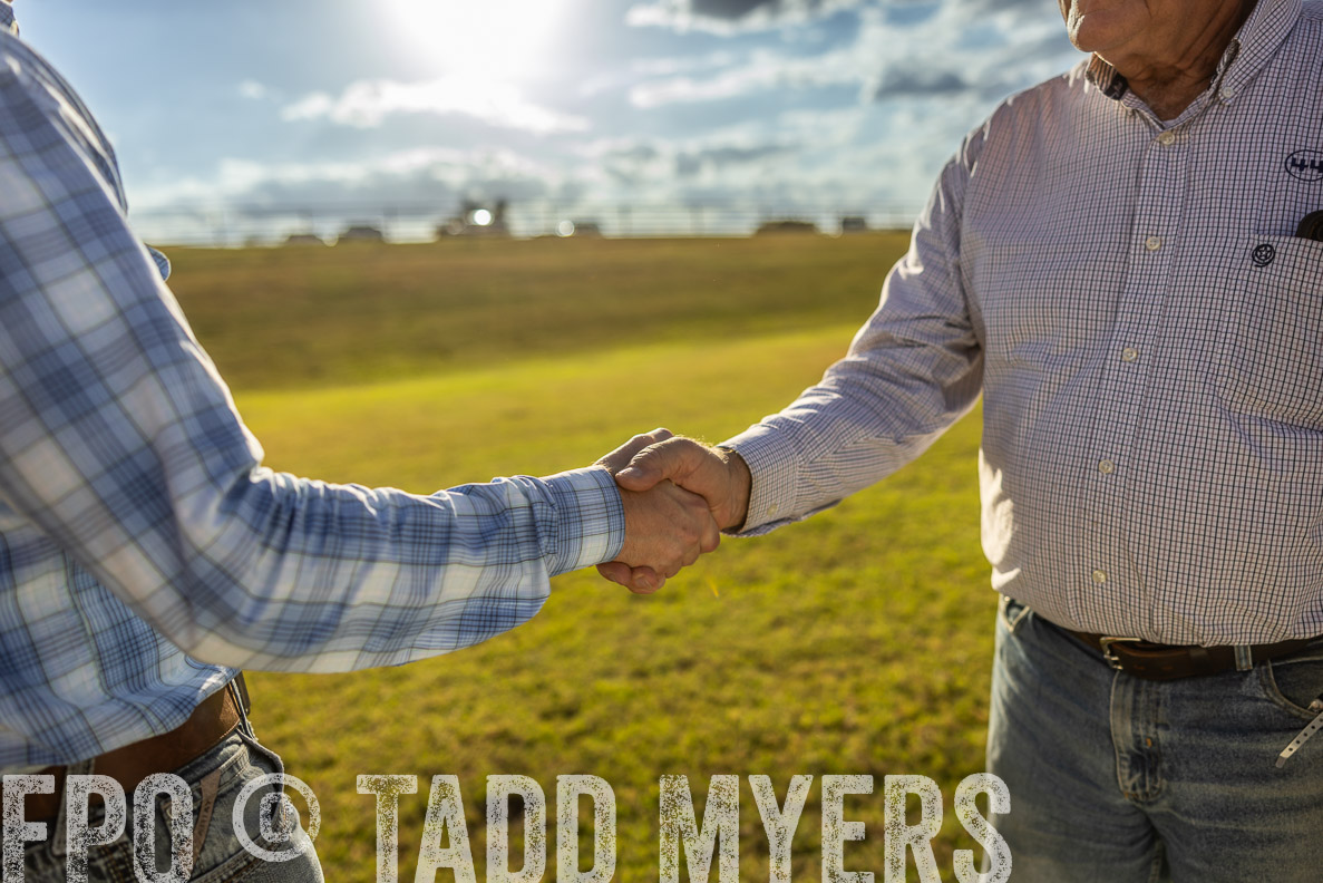 TMyers_FallBullSale_CameronTX_Oct_2024-513165