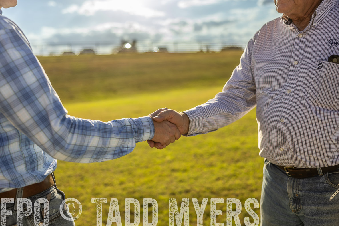 TMyers_FallBullSale_CameronTX_Oct_2024-513169