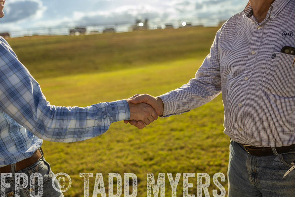 TMyers_FallBullSale_CameronTX_Oct_2024-513180