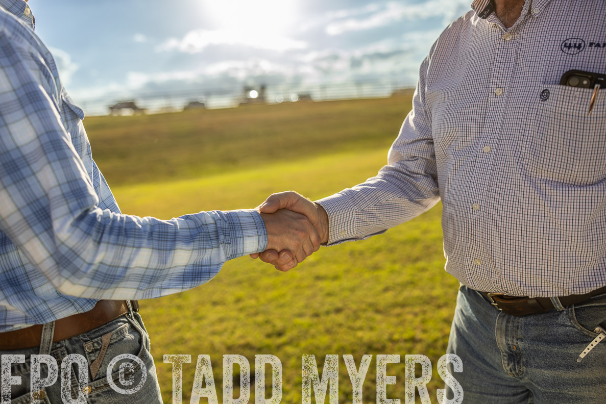 TMyers_FallBullSale_CameronTX_Oct_2024-513189