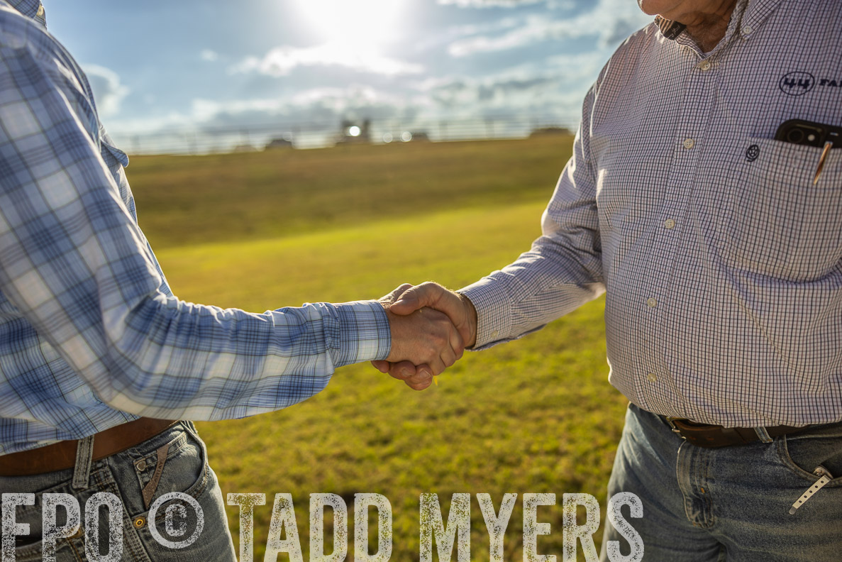 TMyers_FallBullSale_CameronTX_Oct_2024-513192