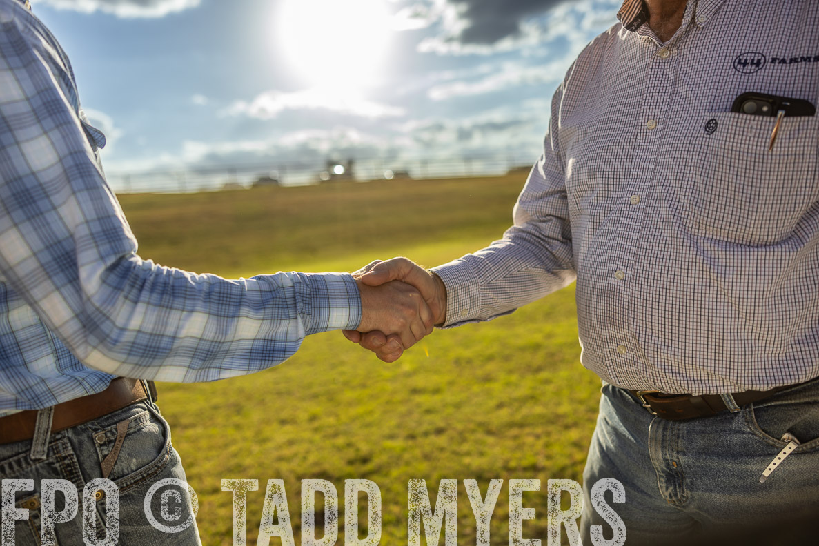 TMyers_FallBullSale_CameronTX_Oct_2024-513194