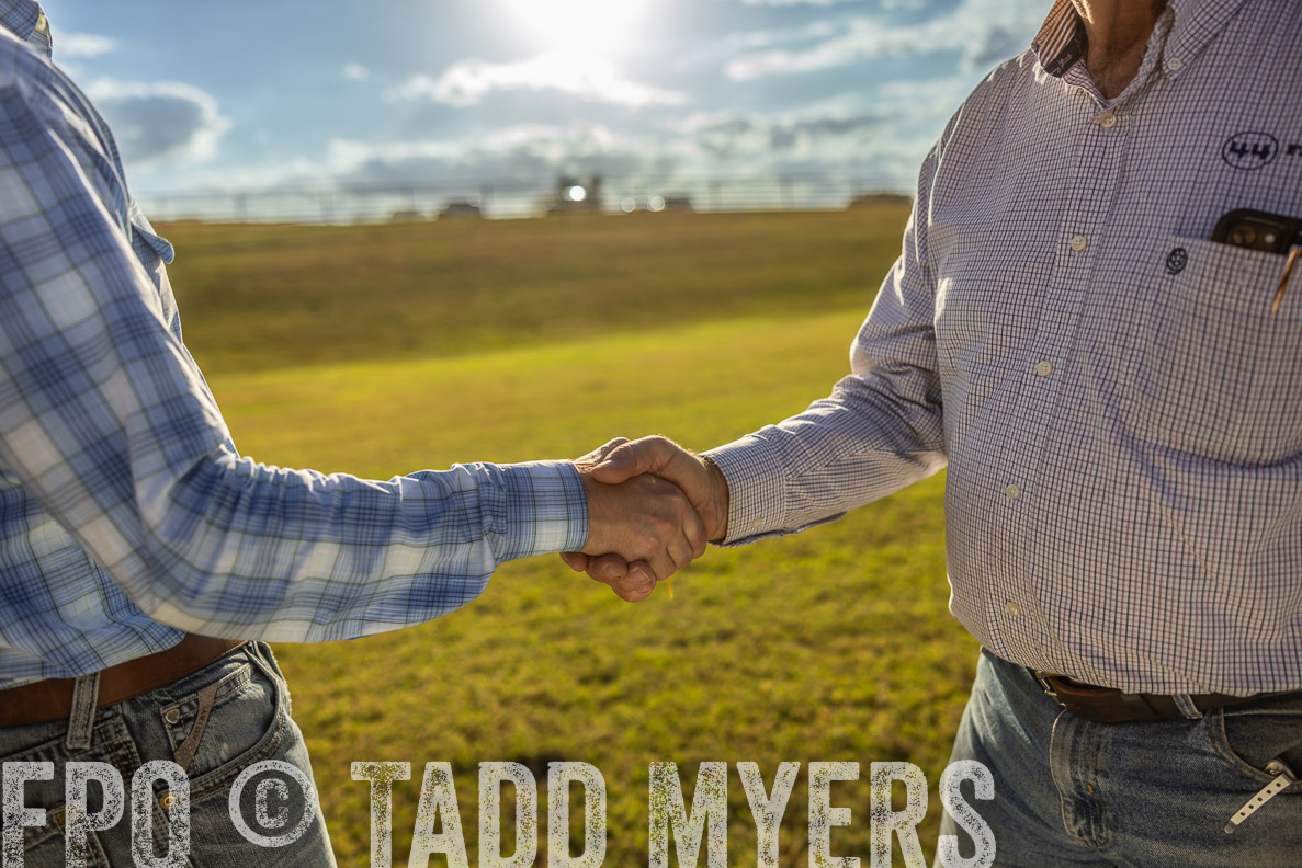 TMyers_FallBullSale_CameronTX_Oct_2024-513199