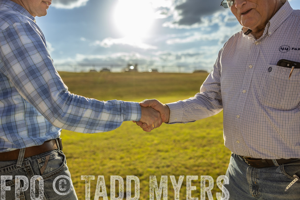 TMyers_FallBullSale_CameronTX_Oct_2024-513209