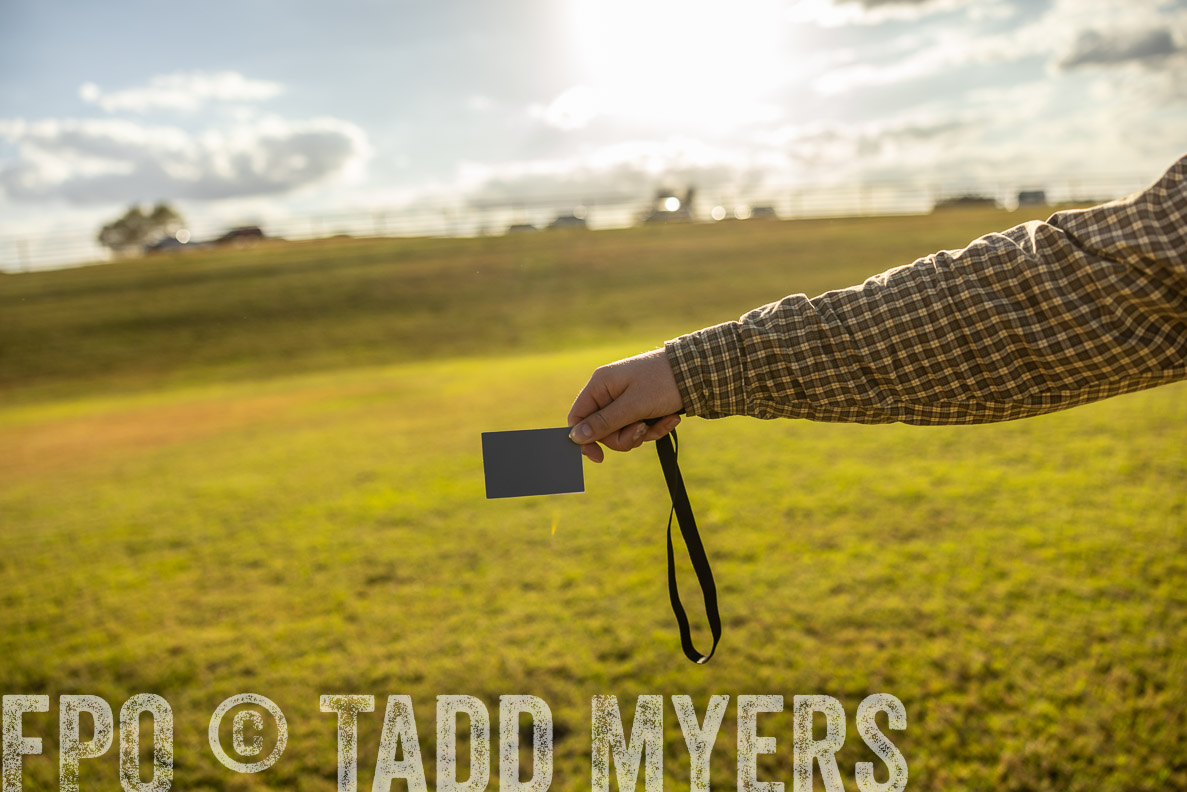 TMyers_FallBullSale_CameronTX_Oct_2024-513214