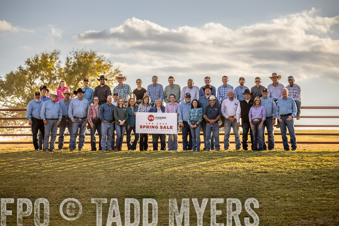 TMyers_FallBullSale_CameronTX_Oct_2024-513337
