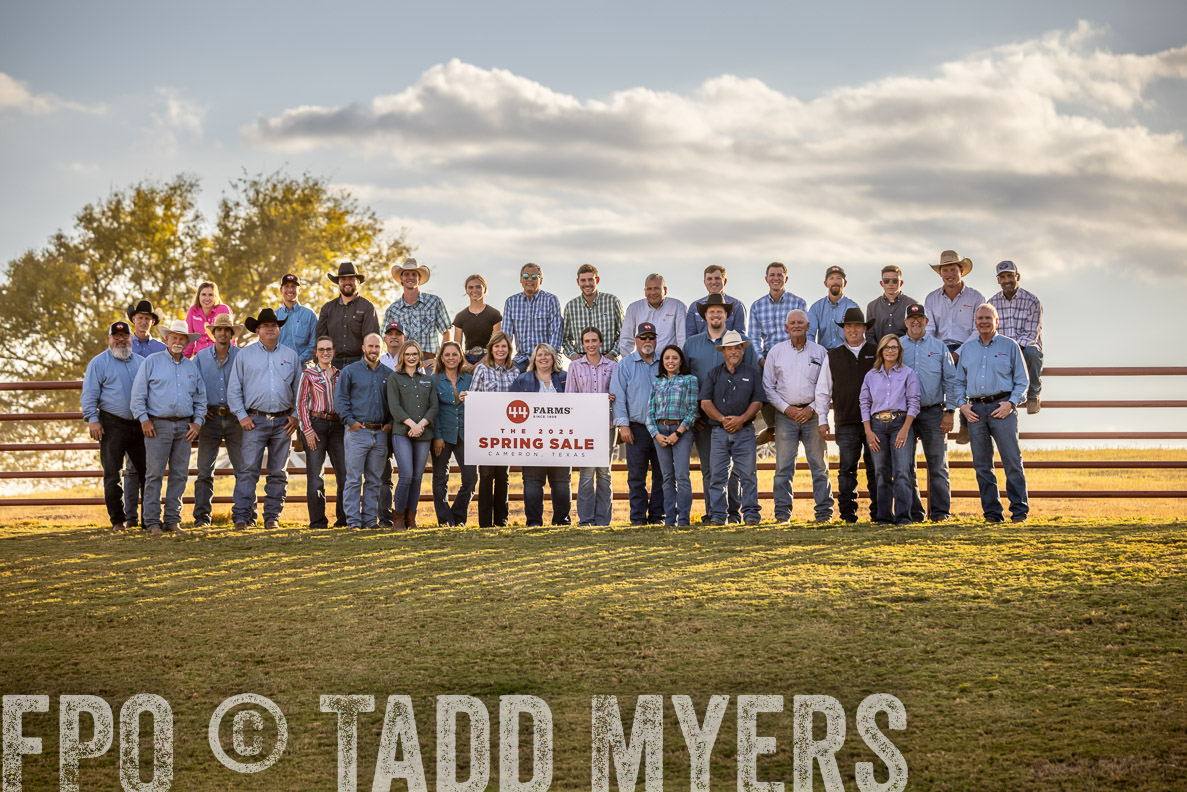 TMyers_FallBullSale_CameronTX_Oct_2024-513340