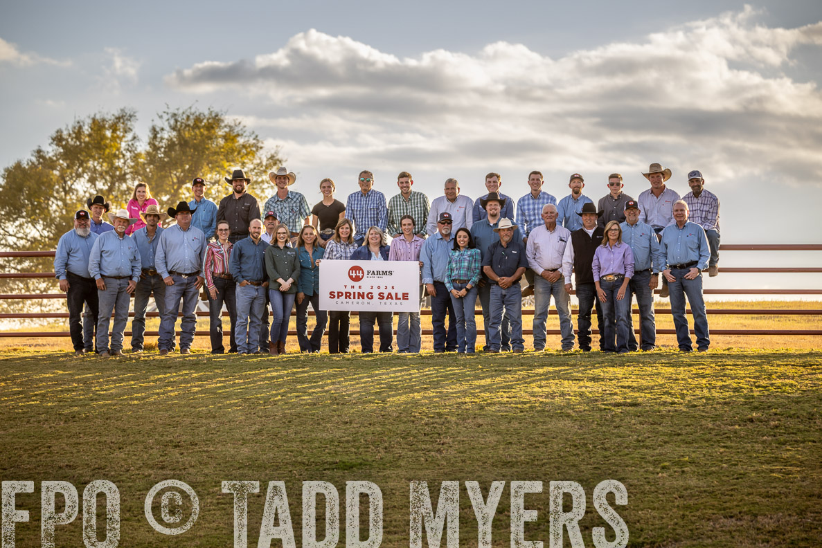 TMyers_FallBullSale_CameronTX_Oct_2024-513348