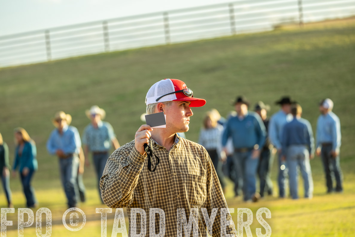 TMyers_FallBullSale_CameronTX_Oct_2024-513354