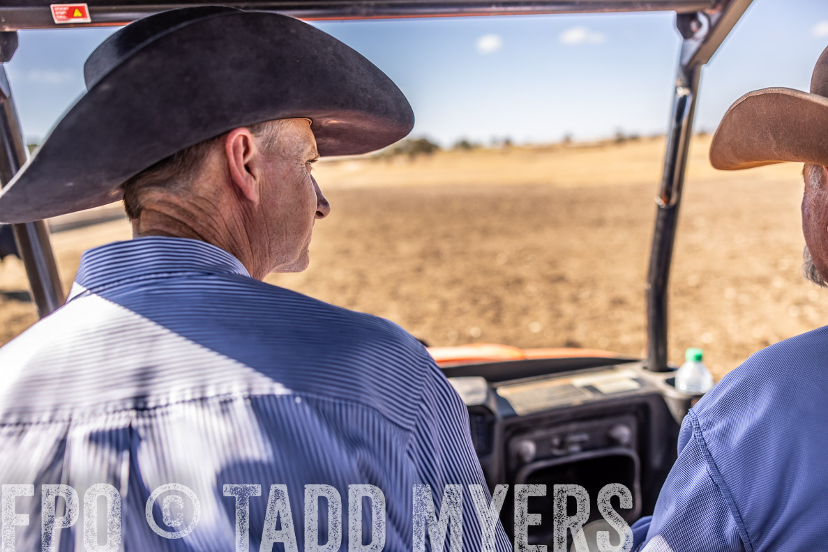 TMyers_FallBullSale_CameronTX_Oct_2024-519865