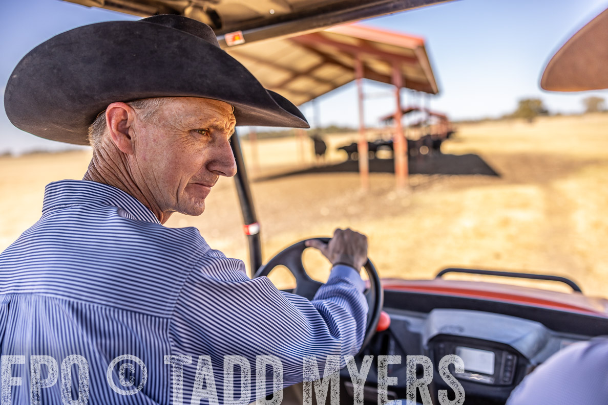 TMyers_FallBullSale_CameronTX_Oct_2024-519880