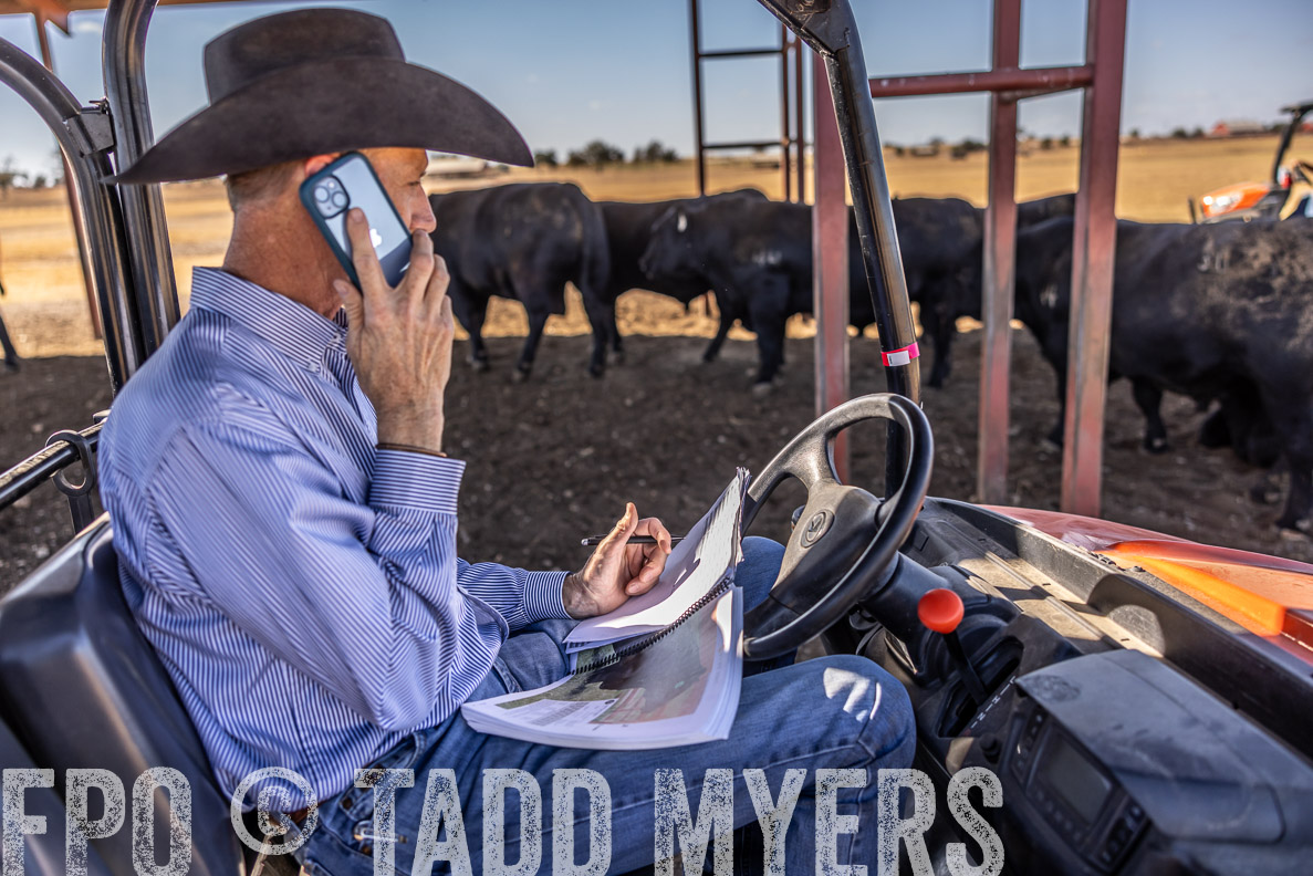 TMyers_FallBullSale_CameronTX_Oct_2024-519897