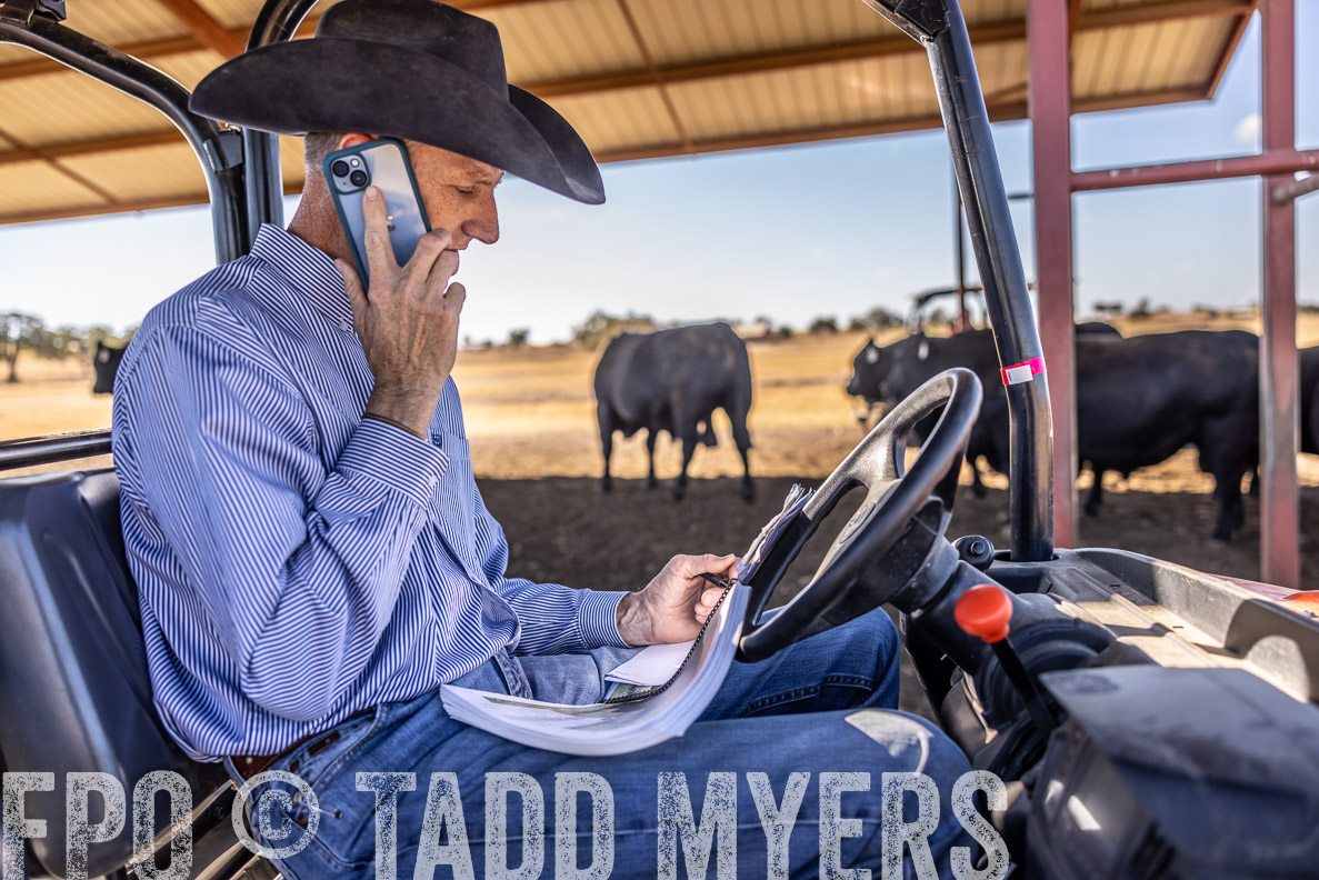 TMyers_FallBullSale_CameronTX_Oct_2024-519905